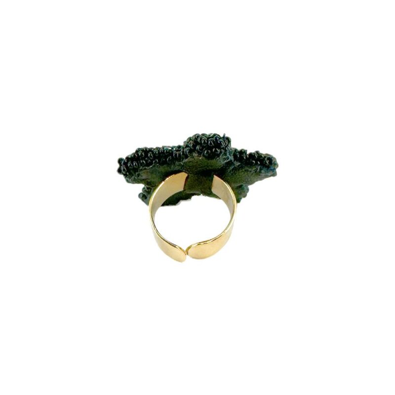 Anel Sirius Preto - Imagem 4